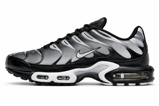 Nike Air Max Plus Black Metallic Silver TNs