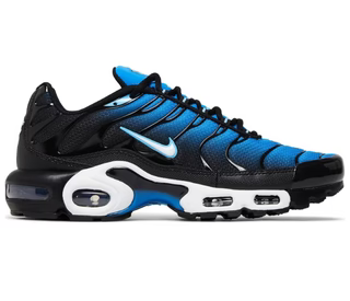Nike AirMax Plus Aquarius TNs
